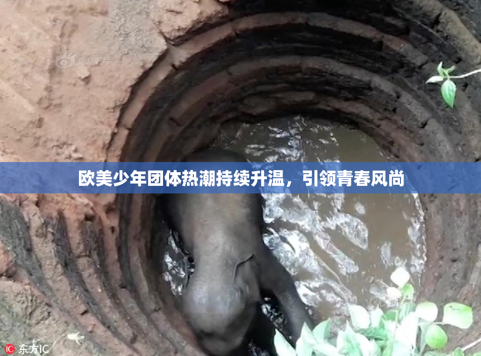 欧美少年团体热潮持续升温，引领青春风尚