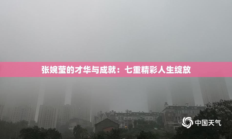 张婉莹的才华与成就：七重精彩人生绽放