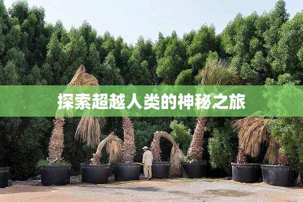 探索超越人类的神秘之旅