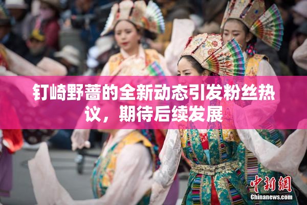 钉崎野蔷的全新动态引发粉丝热议，期待后续发展