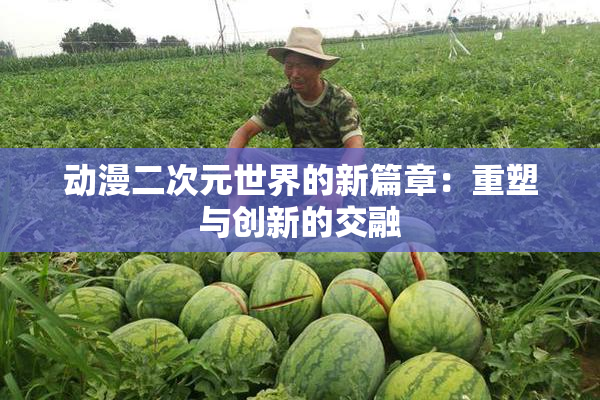 动漫二次元世界的新篇章：重塑与创新的交融
