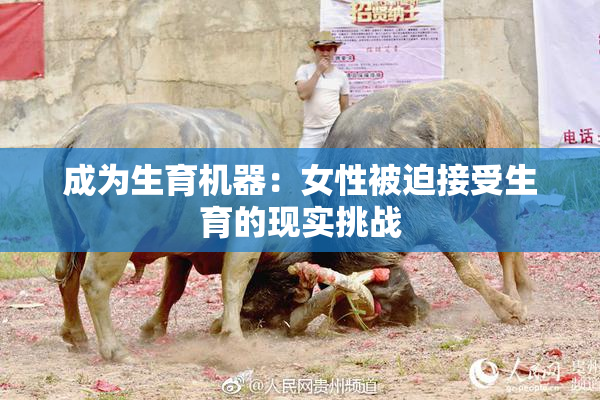 成为生育机器：女性被迫接受生育的现实挑战