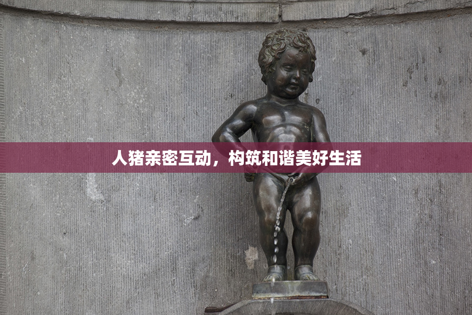 人猪亲密互动，构筑和谐美好生活