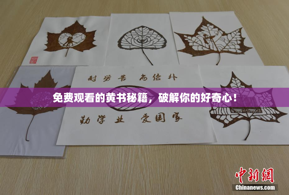 免费观看的黄书秘籍，破解你的好奇心！