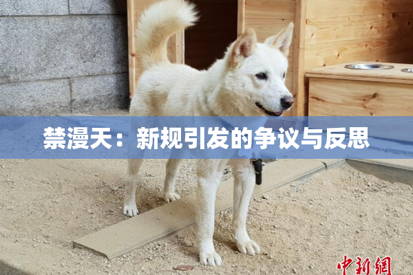 禁漫天：新规引发的争议与反思