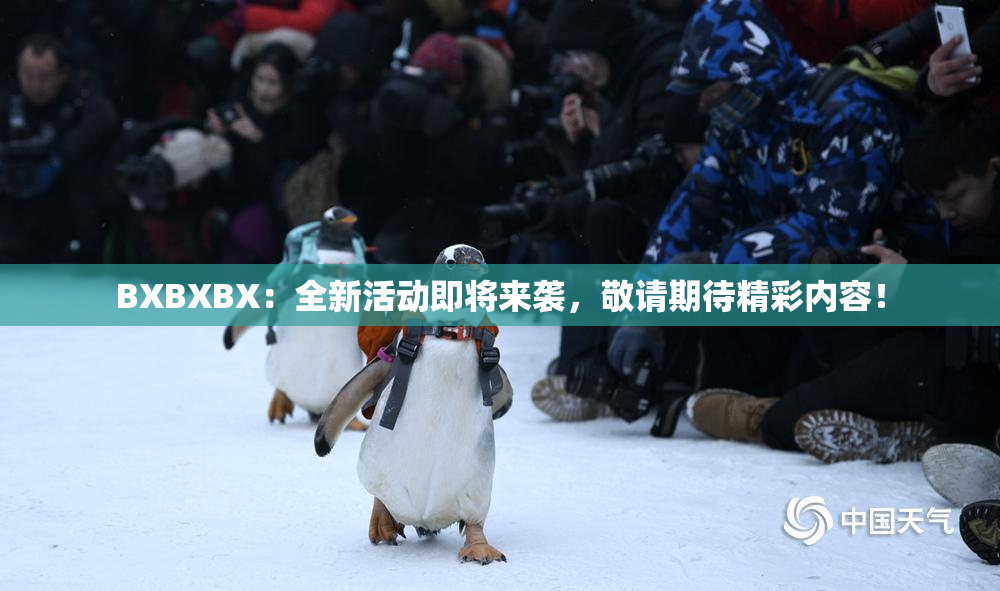 BXBXBX：全新活动即将来袭，敬请期待精彩内容！