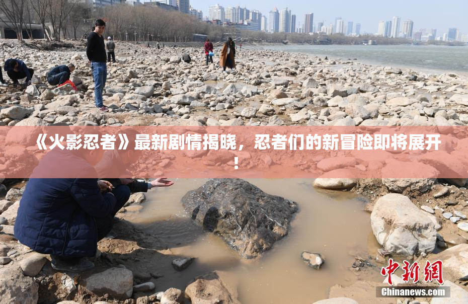 《火影忍者》最新剧情揭晓，忍者们的新冒险即将展开！