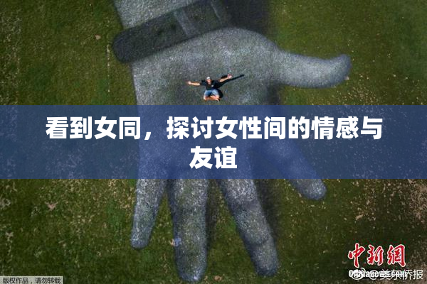看到女同，探讨女性间的情感与友谊