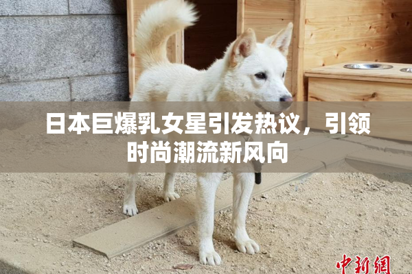 日本巨爆乳女星引发热议，引领时尚潮流新风向