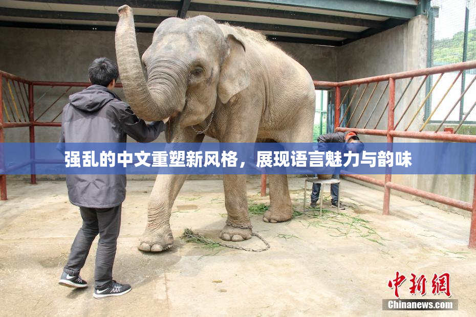 强乱的中文重塑新风格，展现语言魅力与韵味