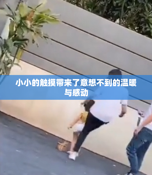 小小的触摸带来了意想不到的温暖与感动