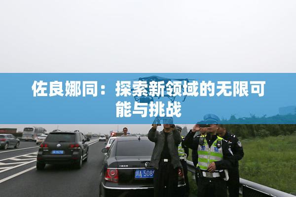 佐良娜同：探索新领域的无限可能与挑战