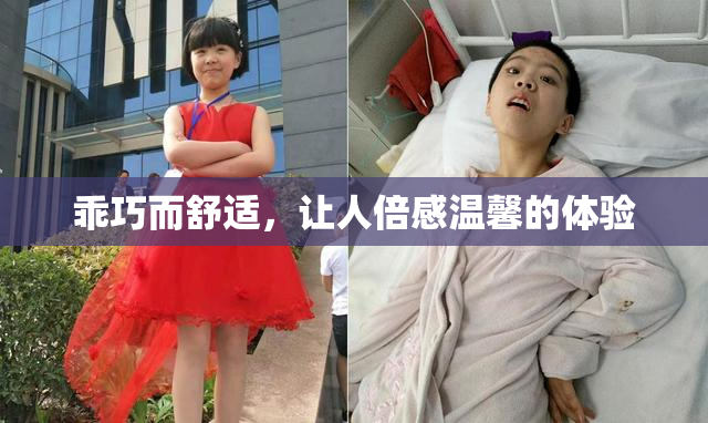 乖巧而舒适，让人倍感温馨的体验