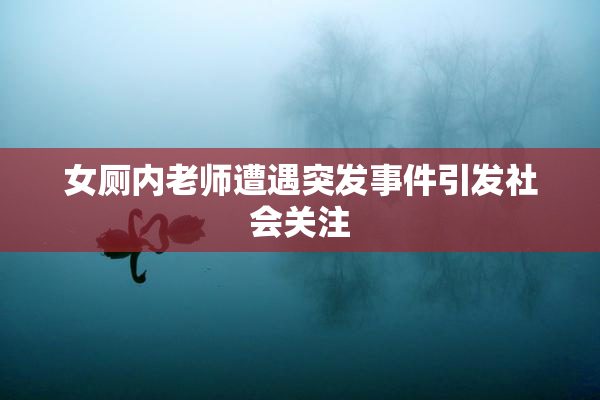 女厕内老师遭遇突发事件引发社会关注