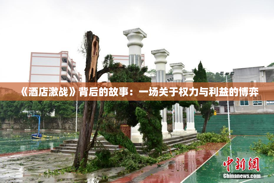 《酒店激战》背后的故事：一场关于权力与利益的博弈