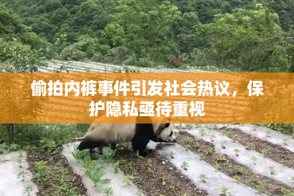 偷拍内裤事件引发社会热议，保护隐私亟待重视