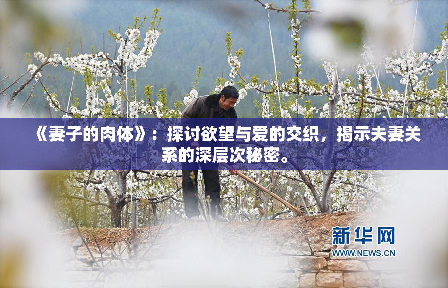 《妻子的肉体》：探讨欲望与爱的交织，揭示夫妻关系的深层次秘密。