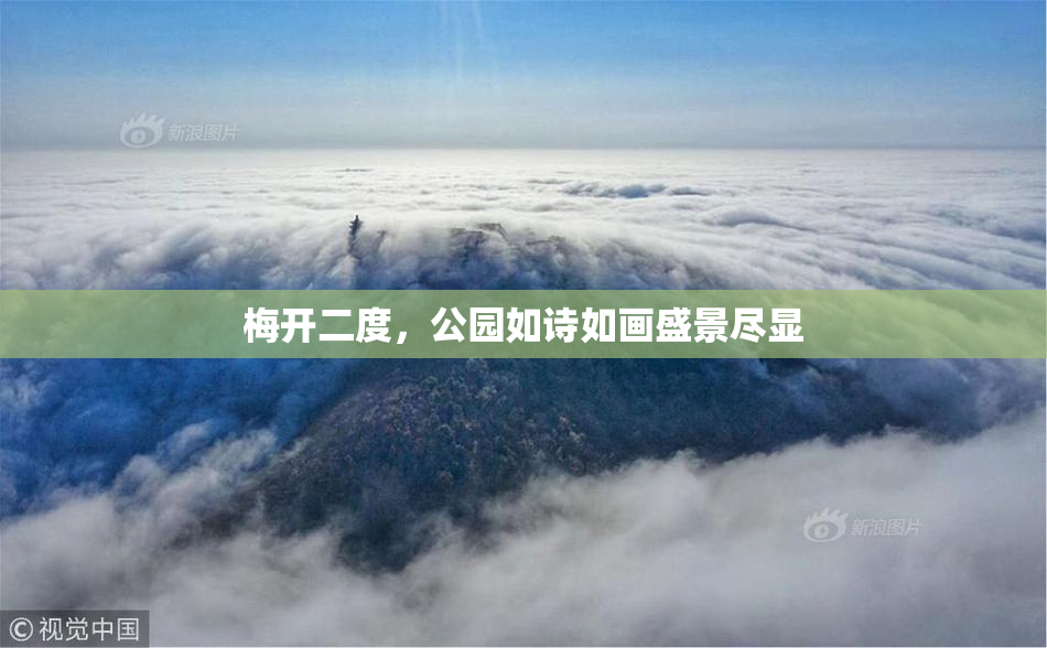 梅开二度，公园如诗如画盛景尽显