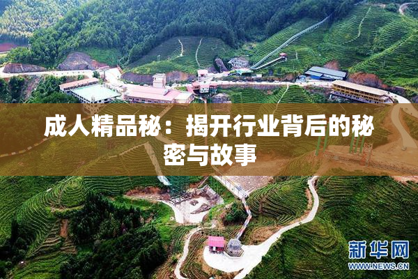 成人精品秘：揭开行业背后的秘密与故事