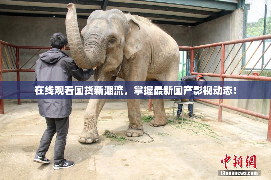 在线观看国货新潮流，掌握最新国产影视动态！