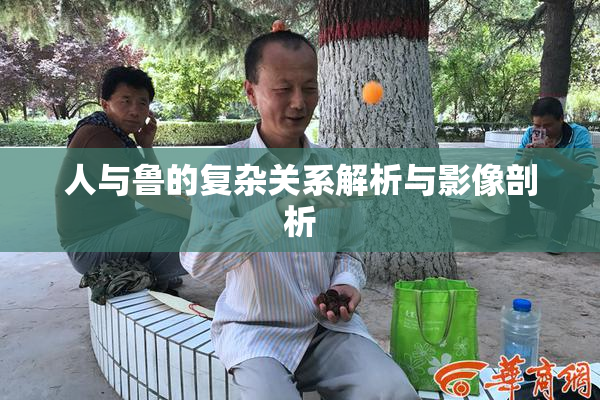 人与鲁的复杂关系解析与影像剖析