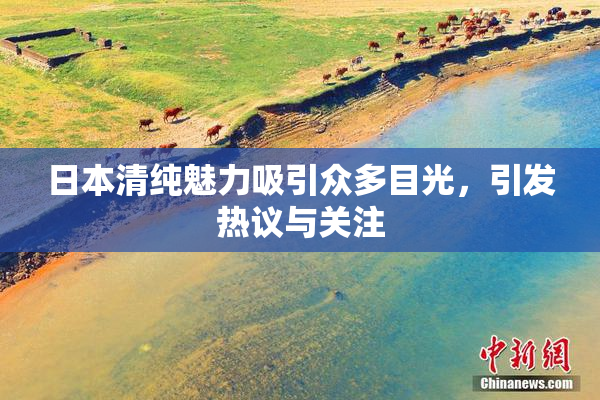 日本清纯魅力吸引众多目光，引发热议与关注