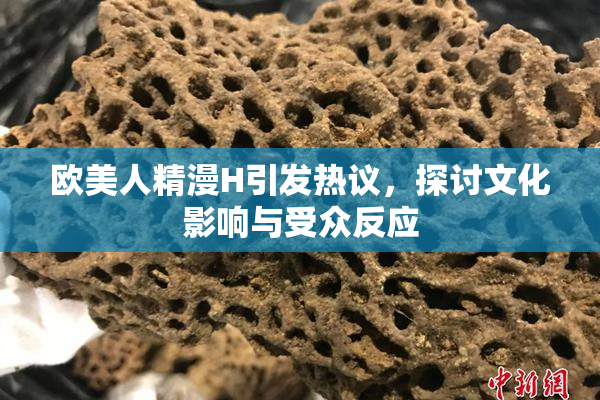 欧美人精漫H引发热议，探讨文化影响与受众反应