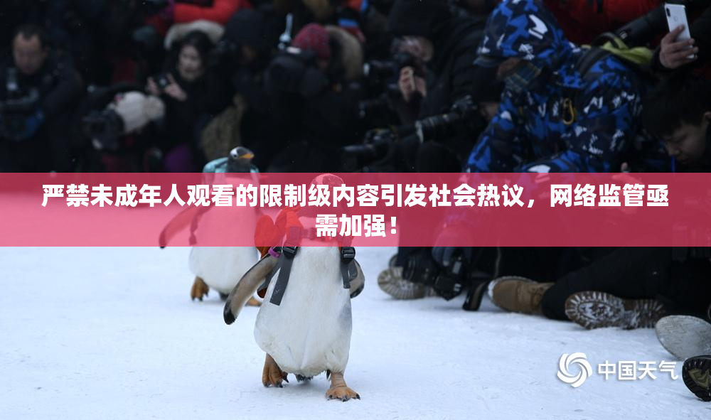 严禁未成年人观看的限制级内容引发社会热议，网络监管亟需加强！