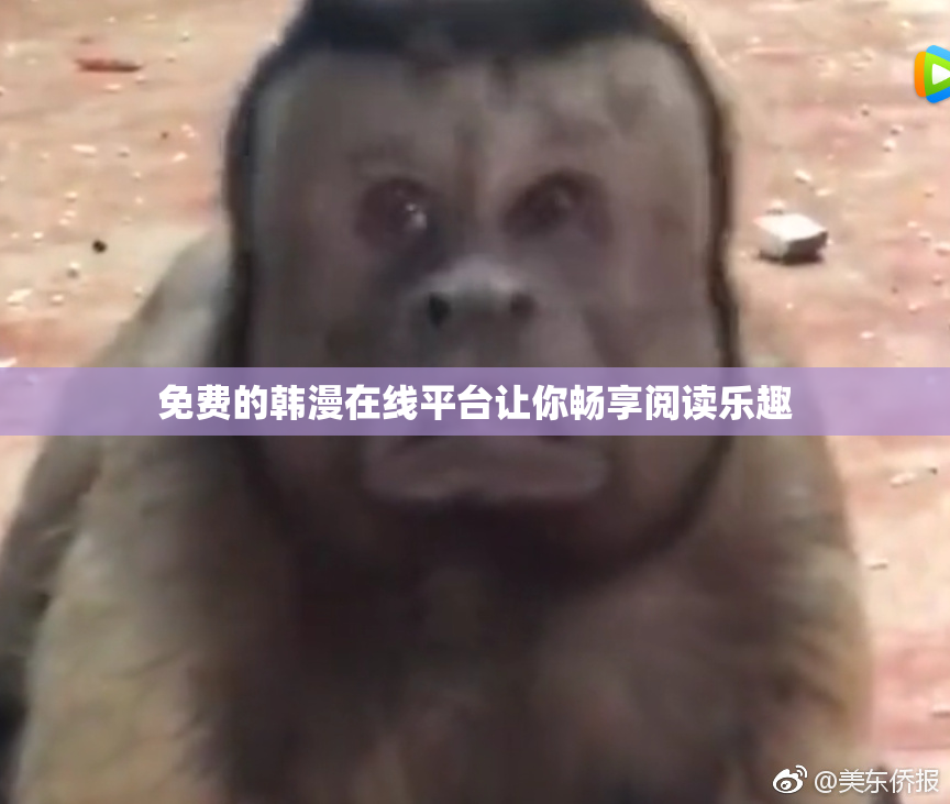 免费的韩漫在线平台让你畅享阅读乐趣