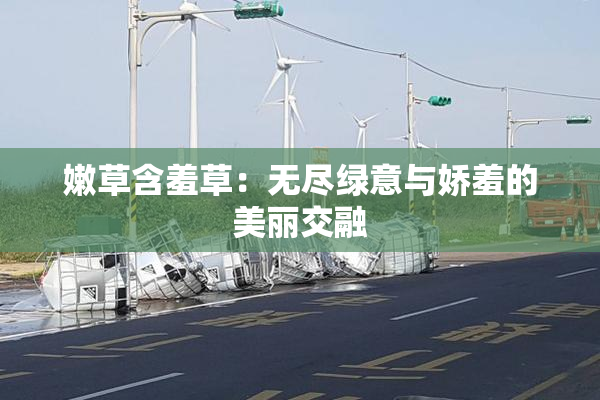 嫩草含羞草：无尽绿意与娇羞的美丽交融