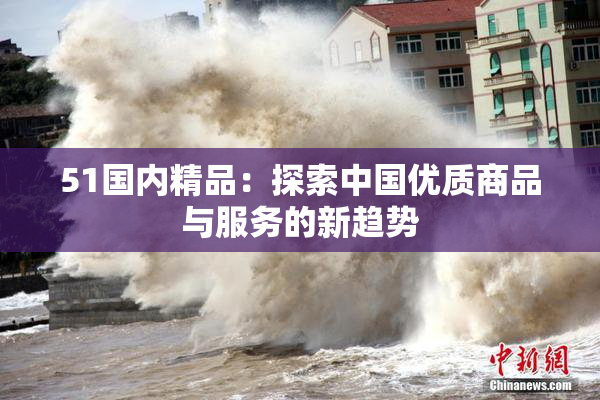 51国内精品：探索中国优质商品与服务的新趋势