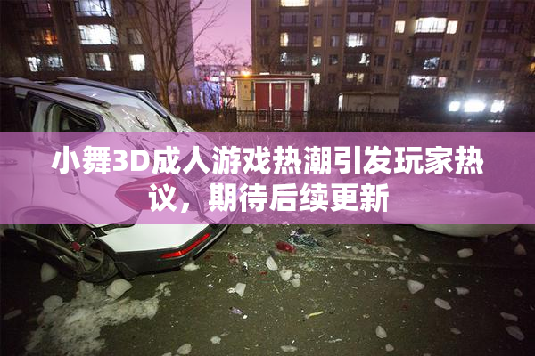 小舞3D成人游戏热潮引发玩家热议，期待后续更新