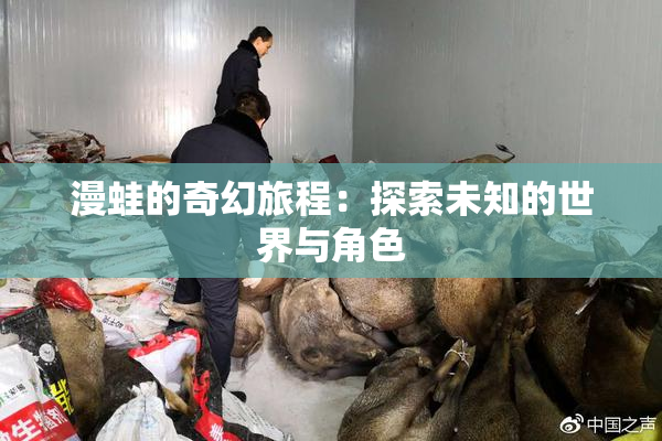 漫蛙的奇幻旅程：探索未知的世界与角色