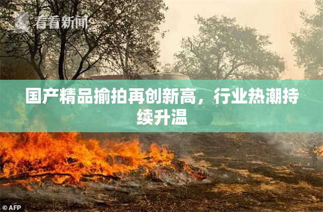 国产精品揄拍再创新高，行业热潮持续升温