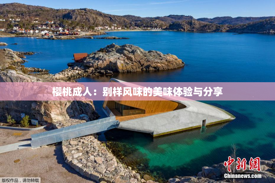 樱桃成人：别样风味的美味体验与分享