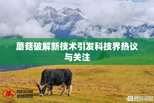 蘑菇破解新技术引发科技界热议与关注