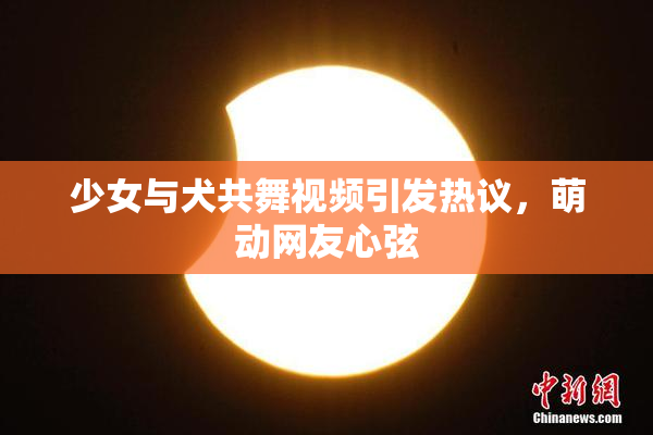 少女与犬共舞视频引发热议，萌动网友心弦