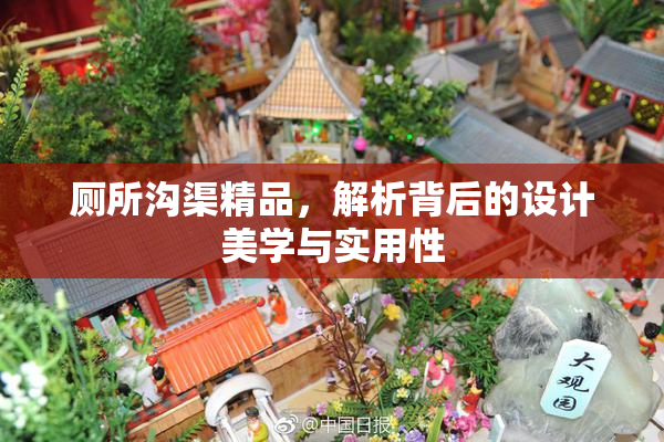厕所沟渠精品，解析背后的设计美学与实用性