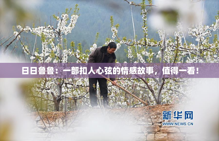 日日鲁鲁：一部扣人心弦的情感故事，值得一看！