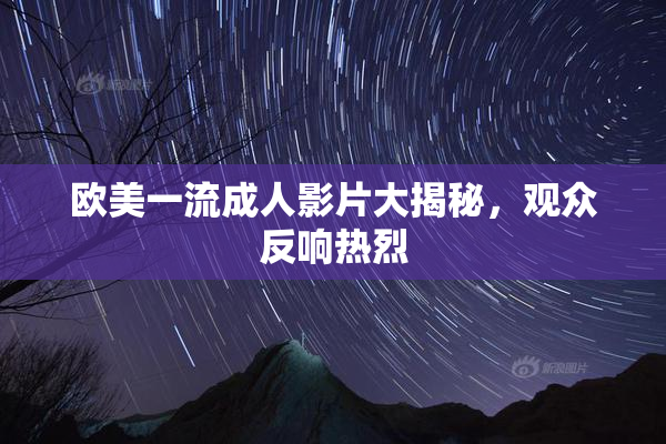 欧美一流成人影片大揭秘，观众反响热烈
