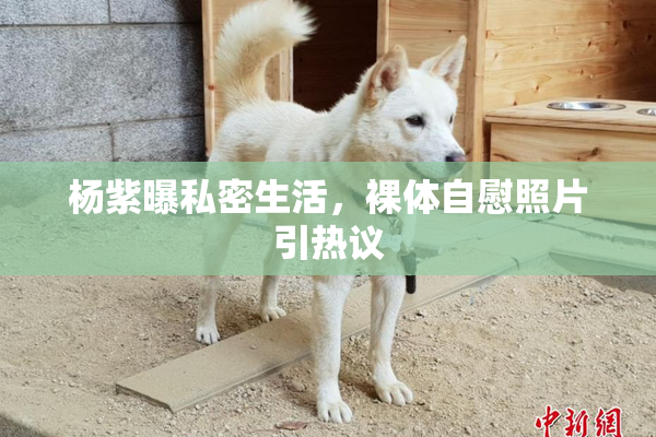 杨紫曝私密生活，裸体自慰照片引热议