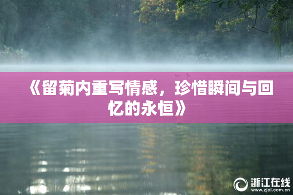 《留菊内重写情感，珍惜瞬间与回忆的永恒》