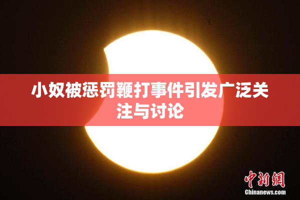小奴被惩罚鞭打事件引发广泛关注与讨论