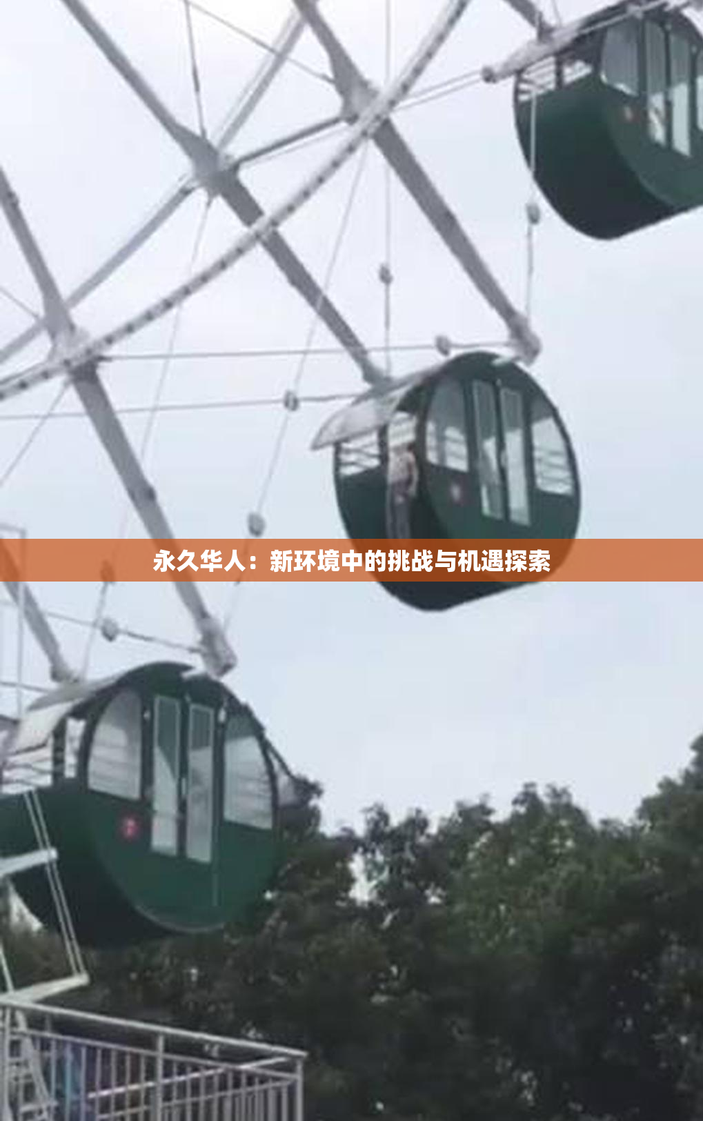 永久华人：新环境中的挑战与机遇探索