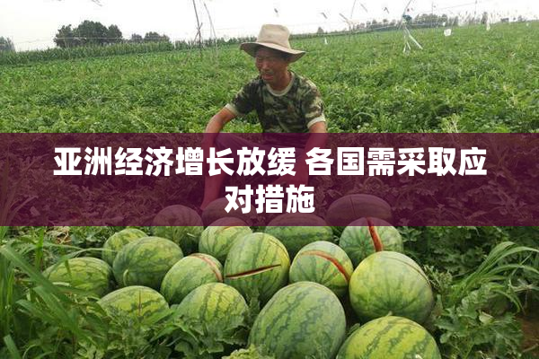 亚洲经济增长放缓 各国需采取应对措施