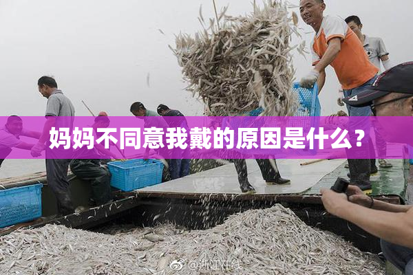妈妈不同意我戴的原因是什么？