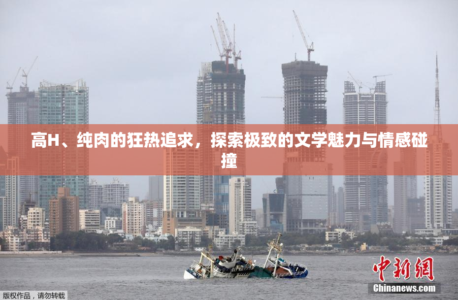 高H、纯肉的狂热追求，探索极致的文学魅力与情感碰撞