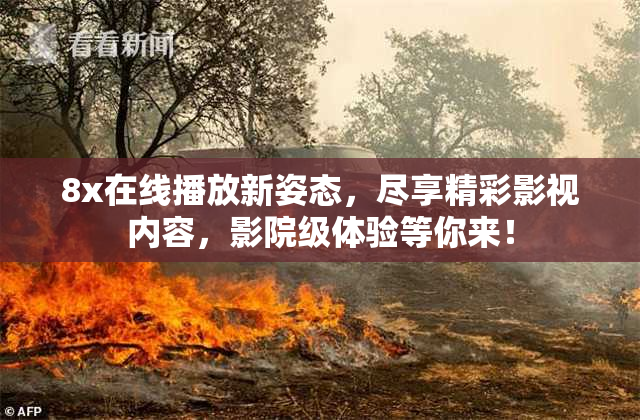 8x在线播放新姿态，尽享精彩影视内容，影院级体验等你来！