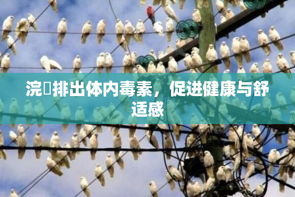 浣腸排出体内毒素，促进健康与舒适感