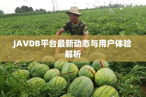 JAVDB平台最新动态与用户体验解析